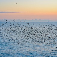 Fot&oacute;: Shutterstock 