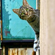 Bogdan Farca/Unsplash