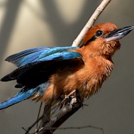 Fot&oacute;: Shutterstock