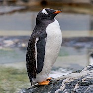 Photo by Peregrine Photography on Unsplash