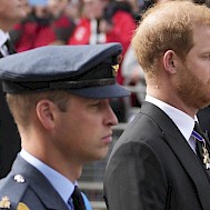 Fot&oacute;: Shutterstock