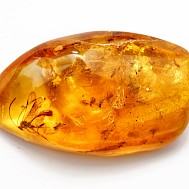 Fot&oacute;: Shutterstock 