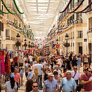 Fot&oacute;: Shutterstock 