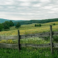 Fot&oacute;: Shutterstock 