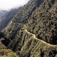 Fot&oacute;: Shutterstock 