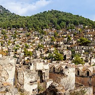 Fot&oacute;: Shutterstock