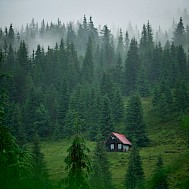 Photo by Adam Hornyak on Unsplash