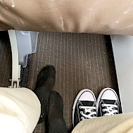 Fot&oacute;: Shutterstock 