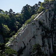 Photo by FEI XIE on Unsplash