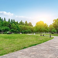 Fot&oacute;: Shutterstock 