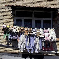 Fot&oacute;: Shutterstock