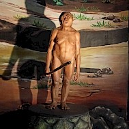 Fot&oacute;: Shutterstock