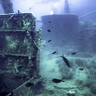 Fot&oacute;: Shutterstock