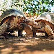 Fot&oacute;: Shutterstock