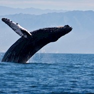 Fot&oacute;: Shutterstock