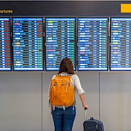 Fot&oacute;: Shutterstock