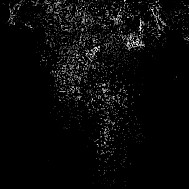 Fot&oacute;: Shutterstock