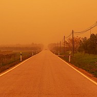 Fot&oacute;: Shutterstock