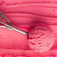 Fot&oacute;: Shutterstock