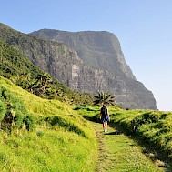 Fot&oacute;: Shutterstock