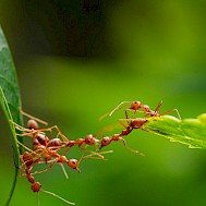 Fot&oacute;: Shutterstock
