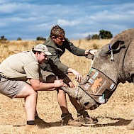 Fot&oacute;: Getty Images