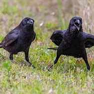 Fot&oacute;: Getty Images