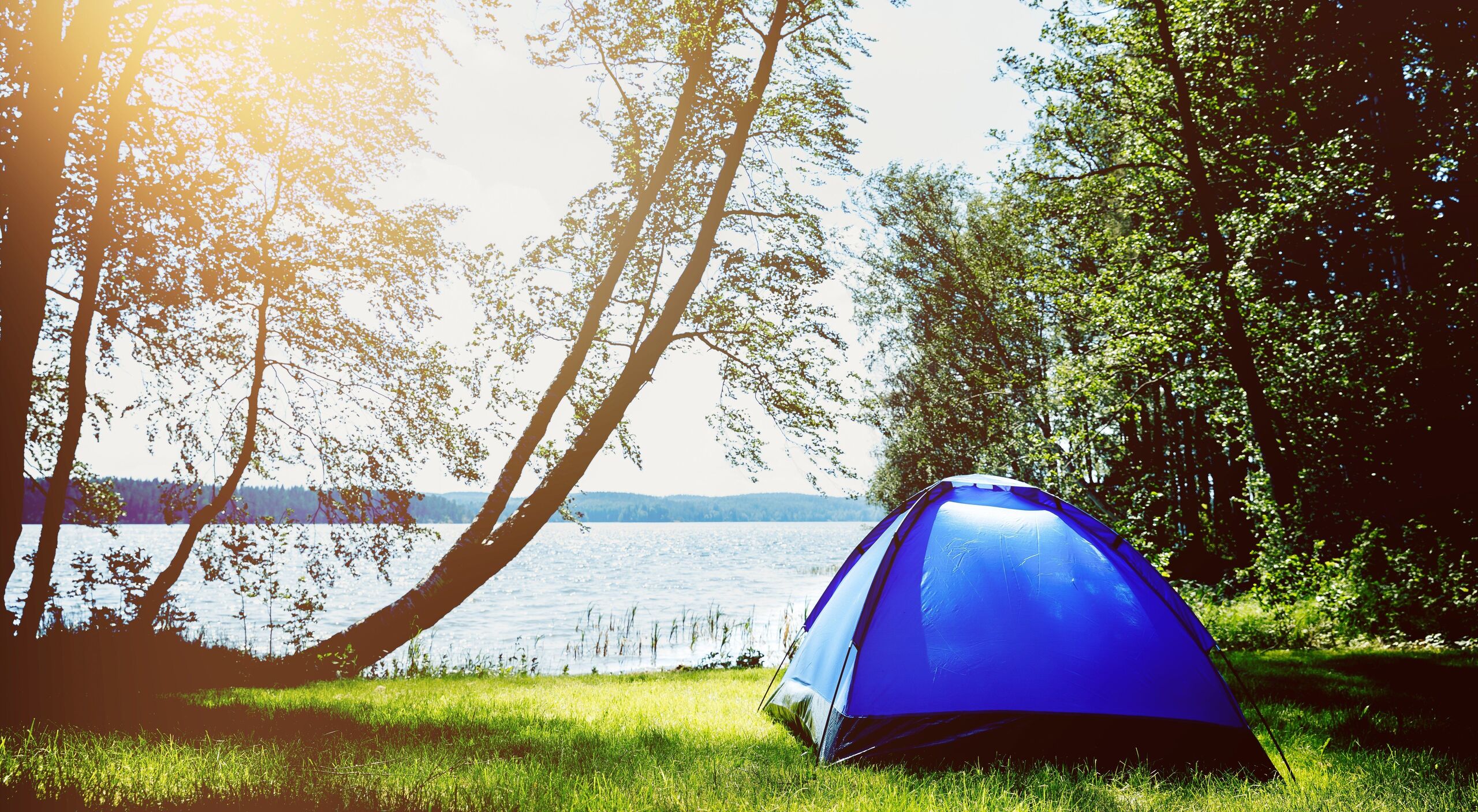 Shutterstock