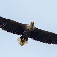 Fot&oacute;: Getty Images