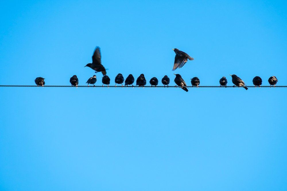 Fotó: Shutterstock