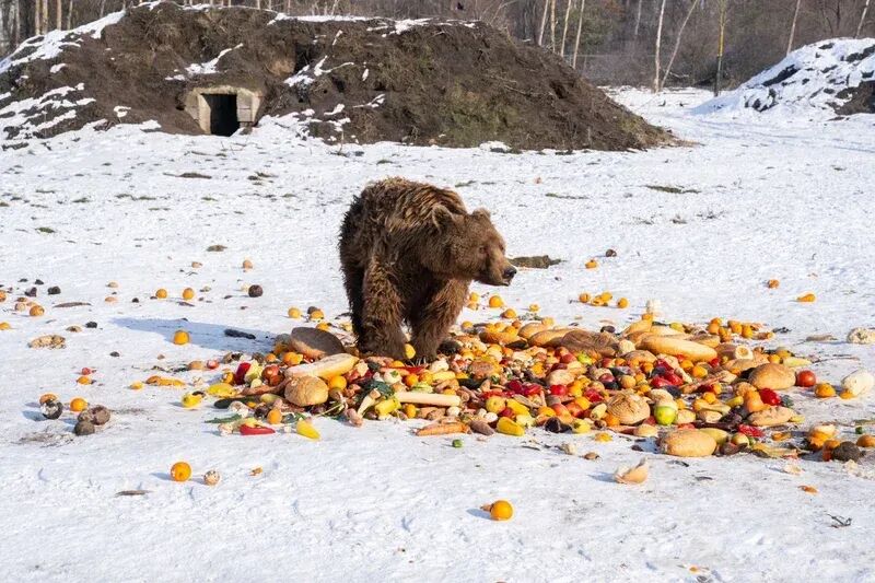 Fotó: Drive magazin/Tokaji Balázs