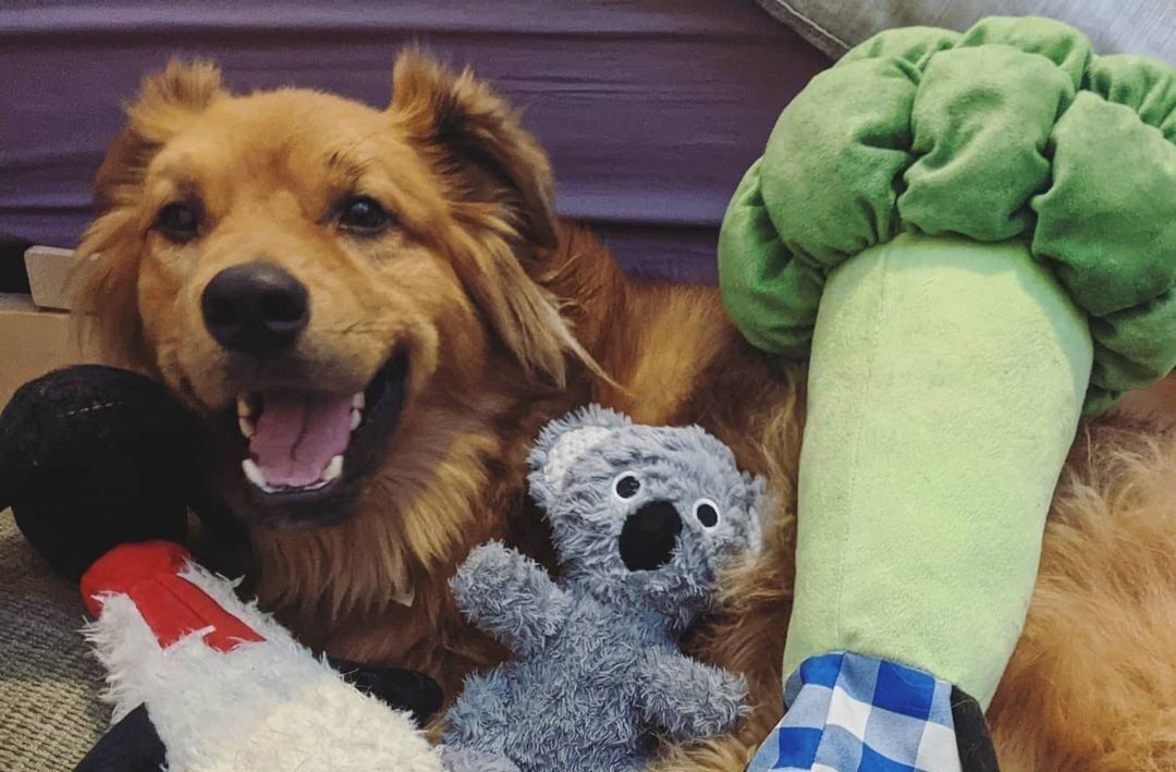 Instagram/ finn_and_stefen