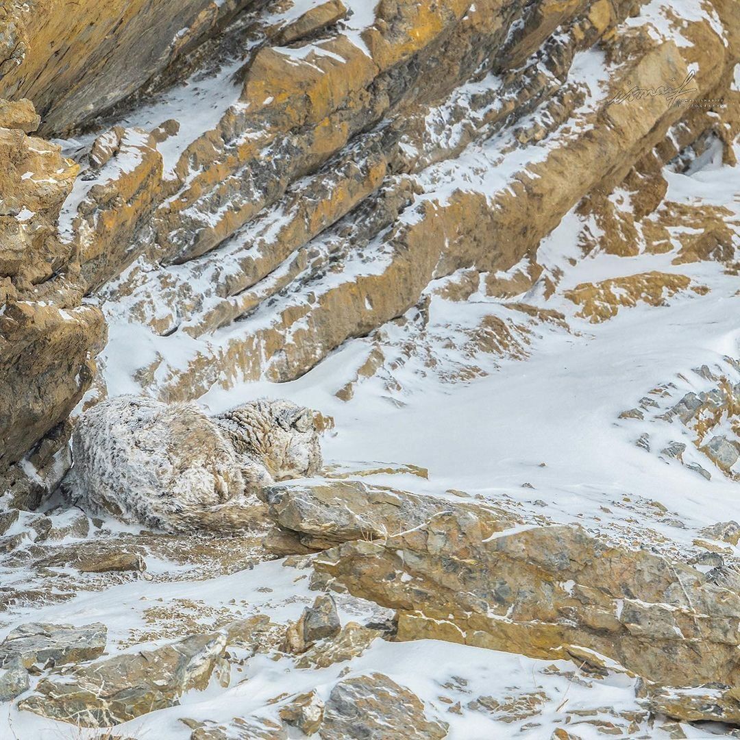 Instagram/ismailshariff