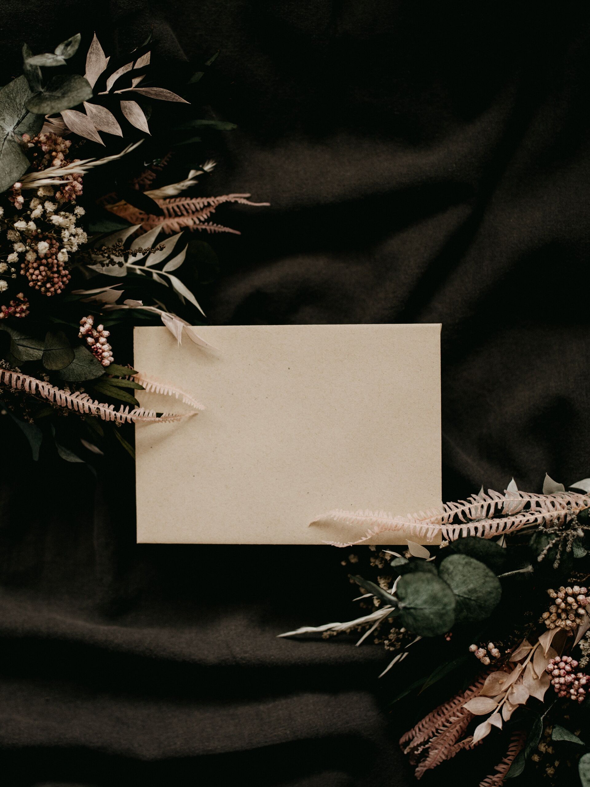  Annie Spratt/Unsplash