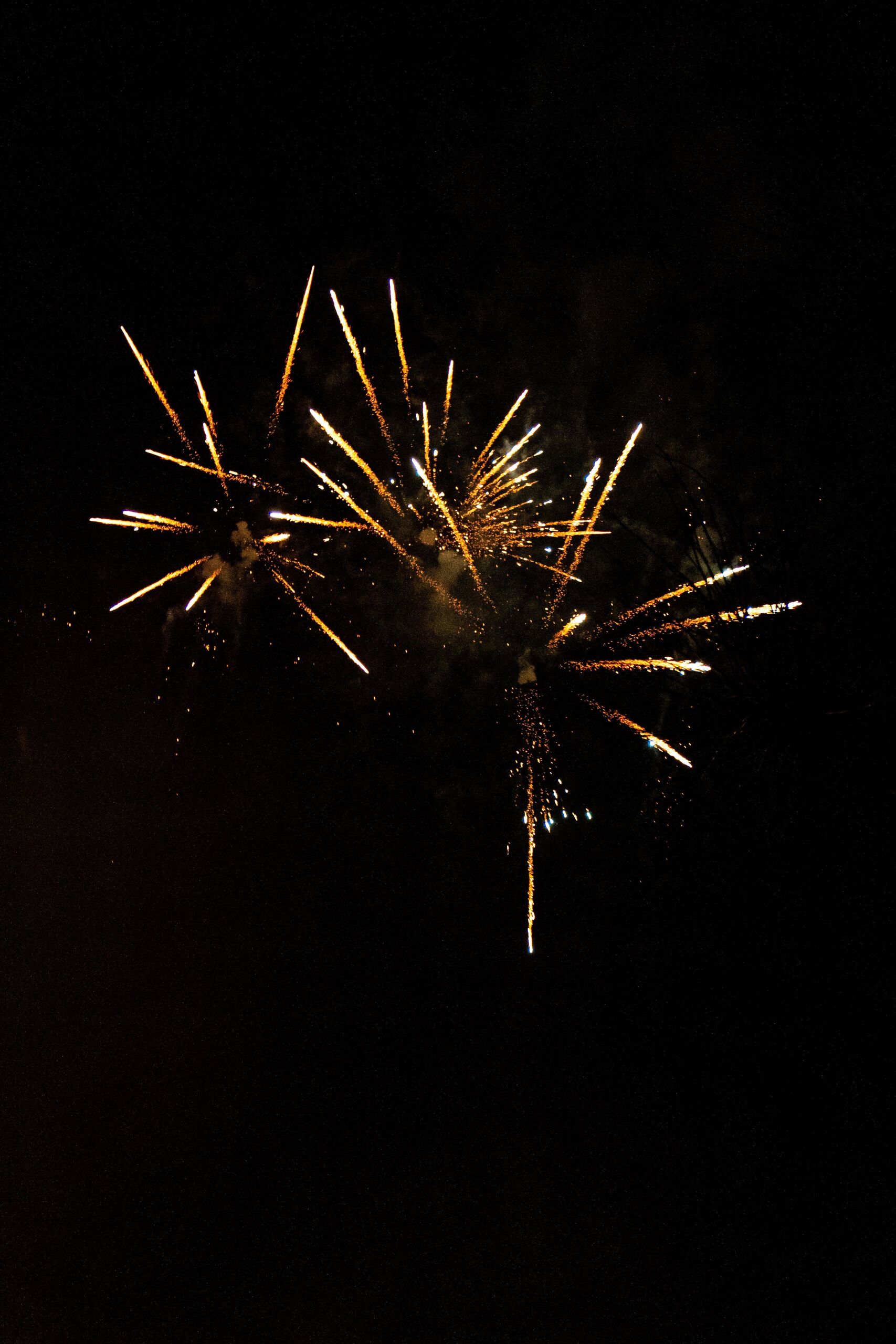 Philip Myrtorp/Unsplash