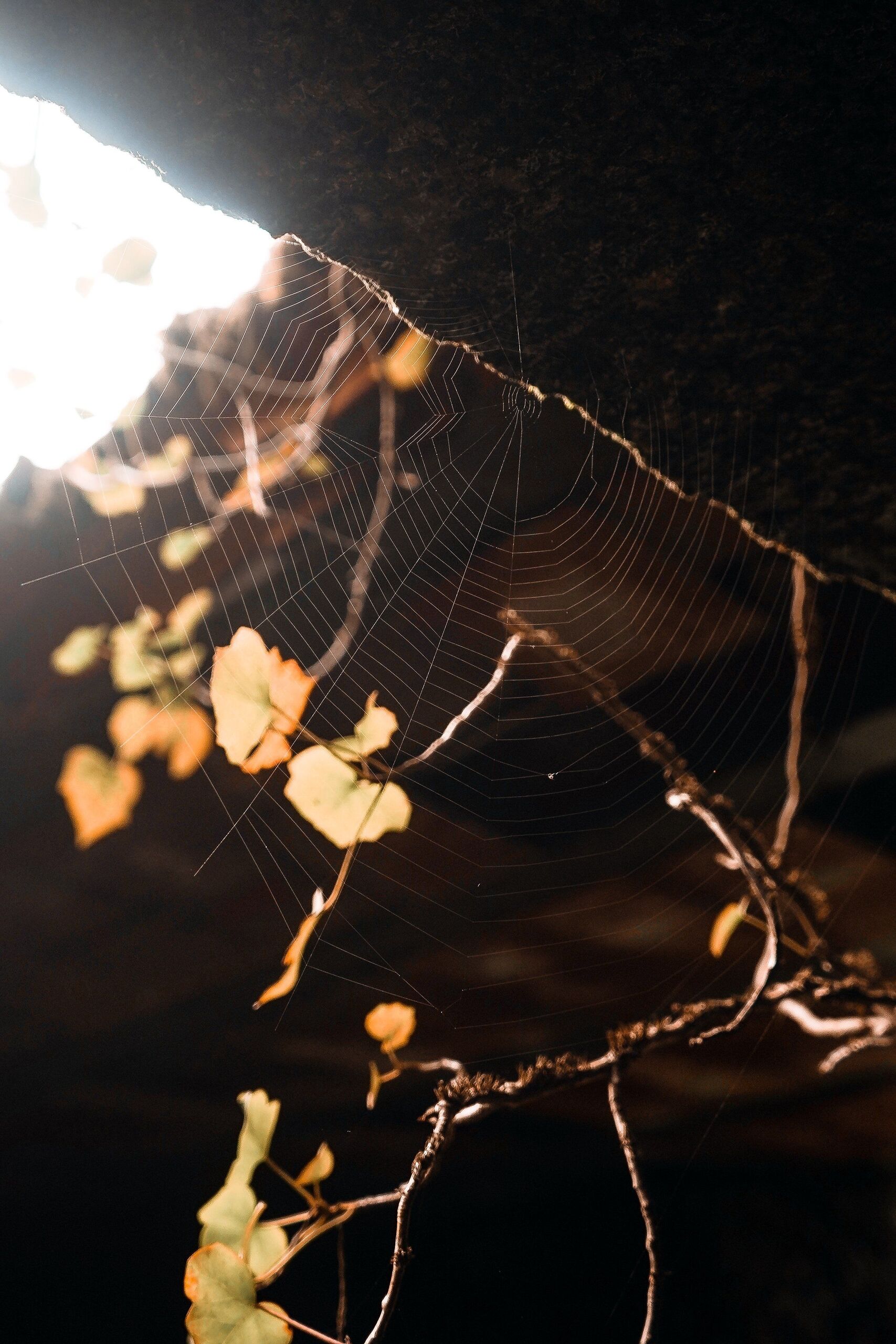 Fotó: Gaspar Costa/Unsplash