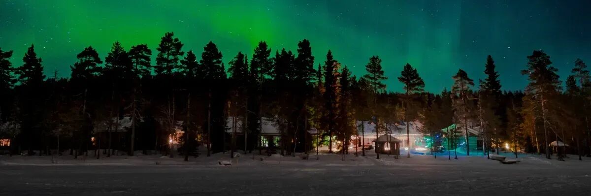 Fotó: Egor Vikhrev/Unsplash