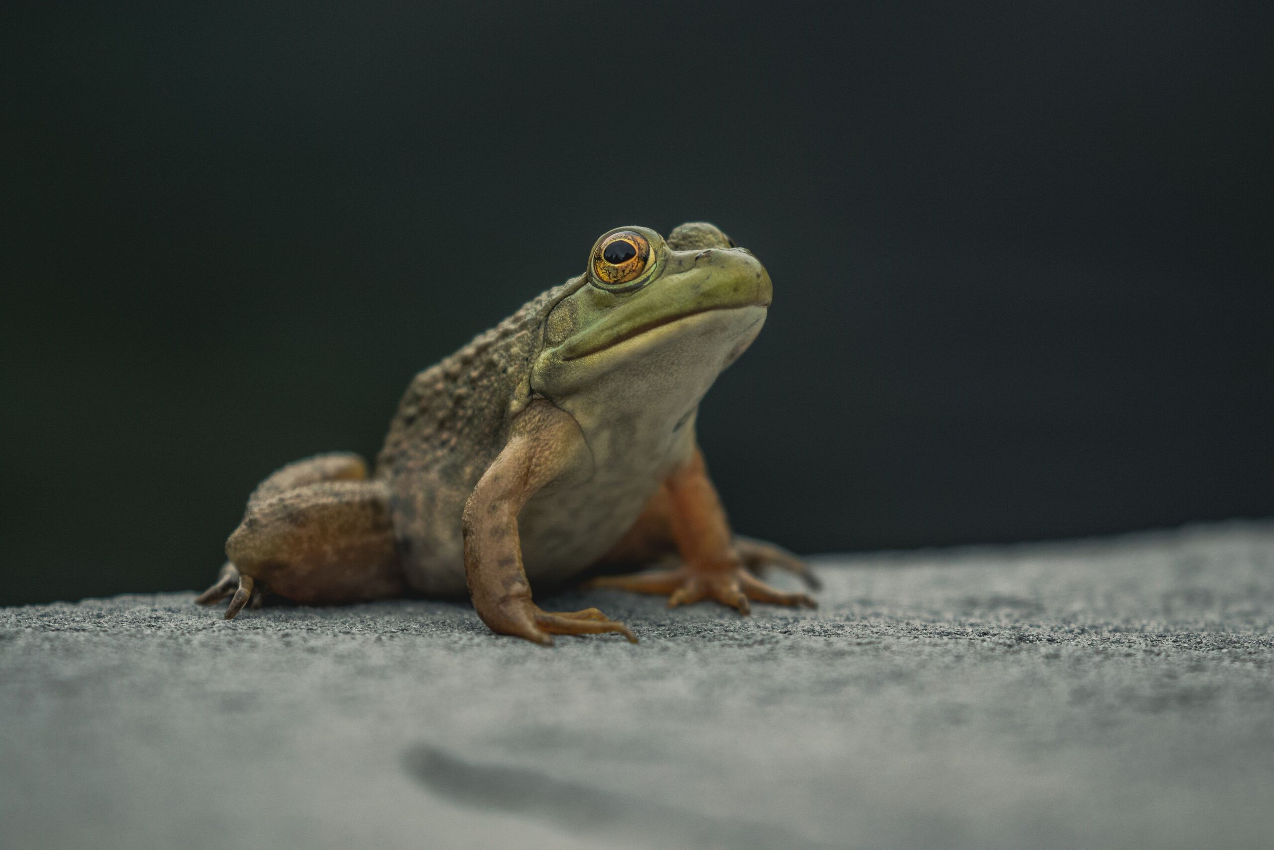 Unsplash