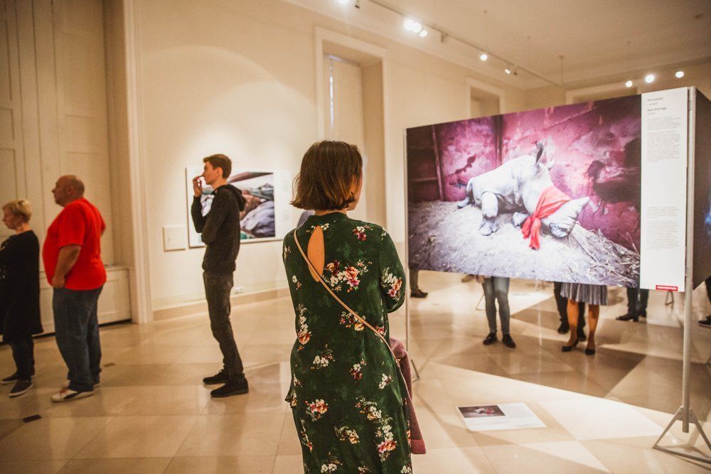 FotÓ:  Shutterstock