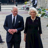 Fot&oacute;: Shutterstock