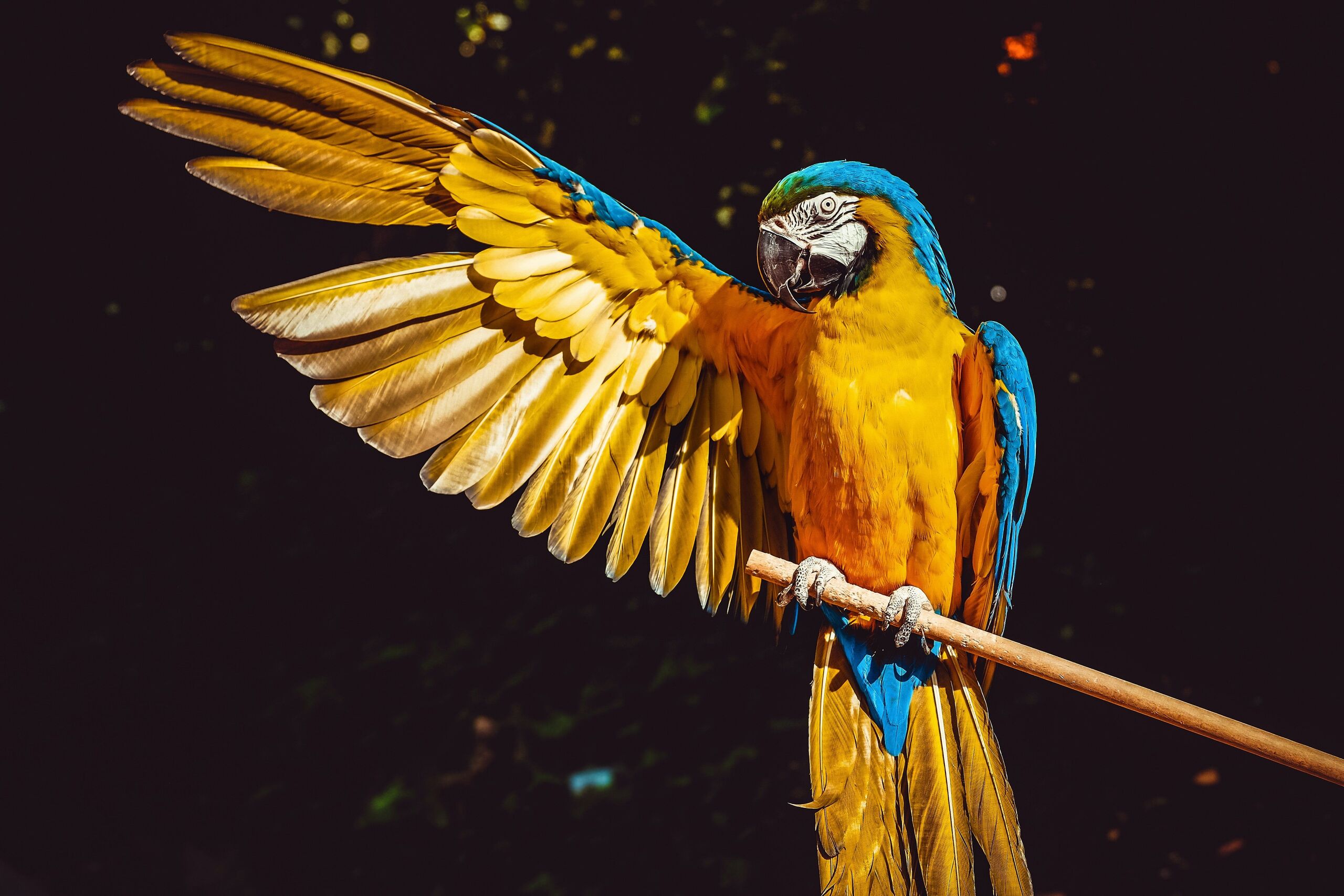  Unsplash