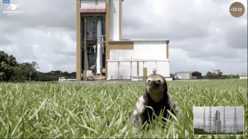 ESA/N.Drake/GérardTheSloth