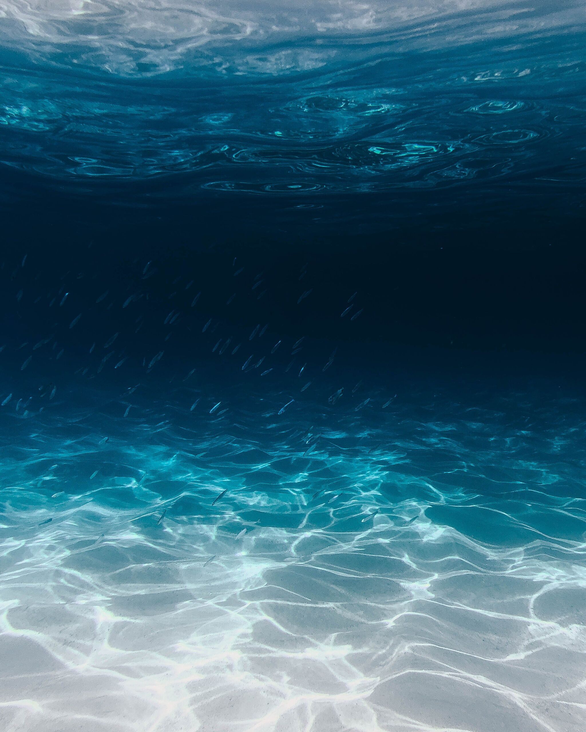  Silas Baisch/Unsplash