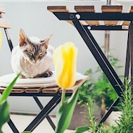 Fot&oacute;: Shutterstock