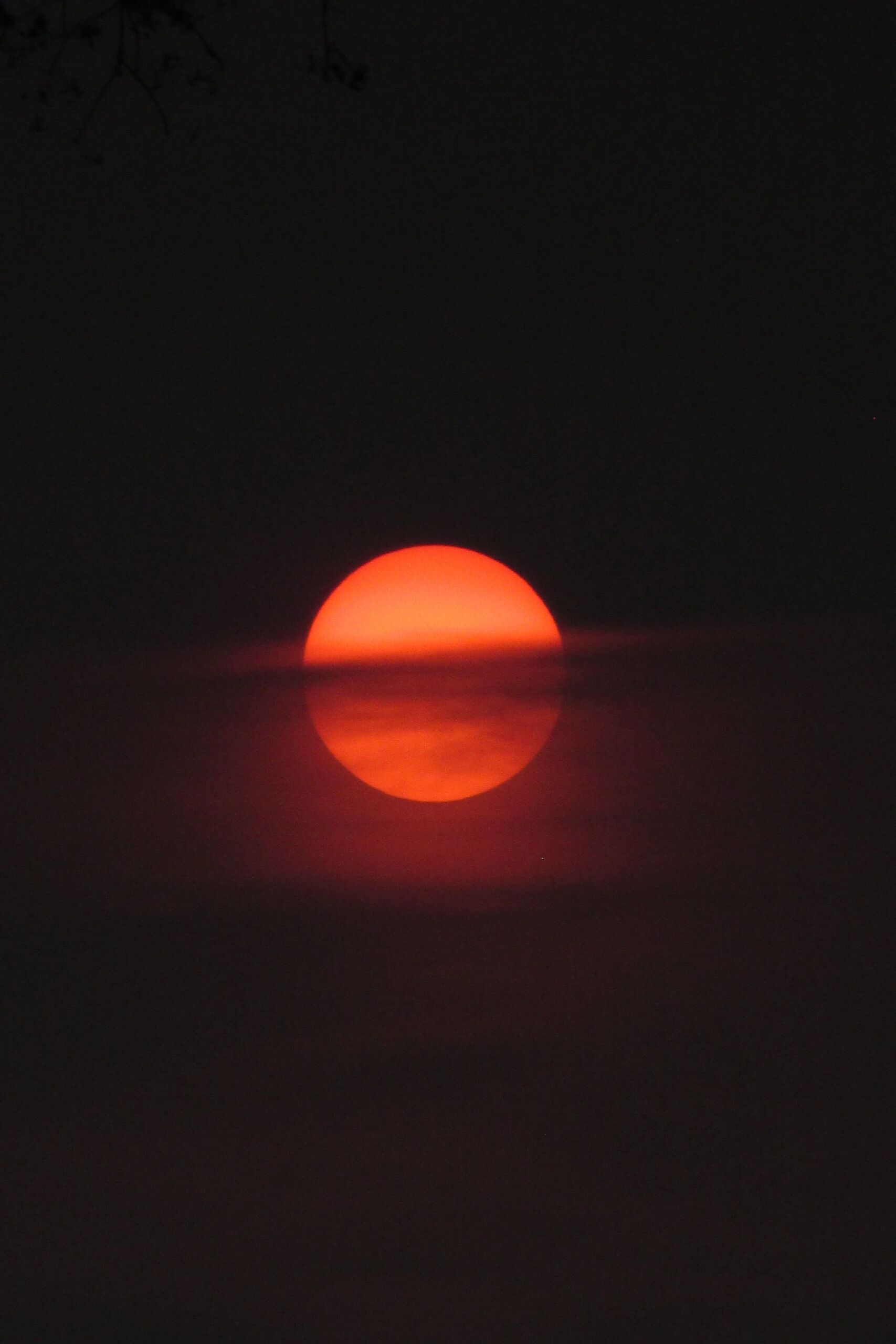  Mourya Pranay/Unsplash