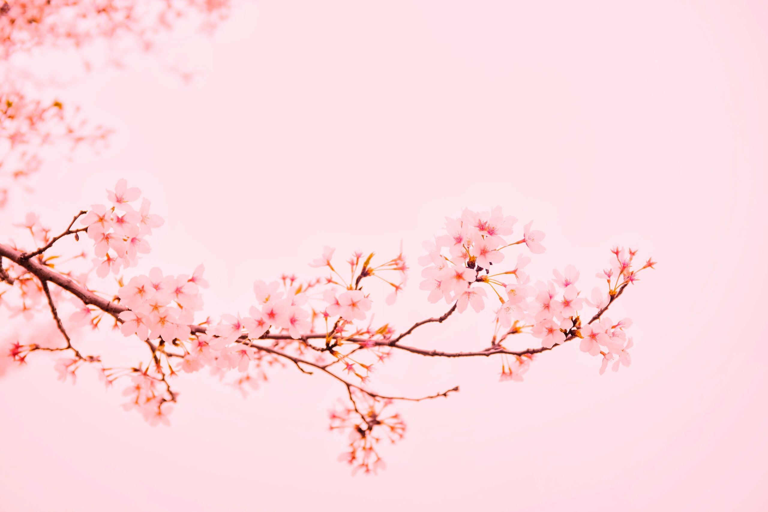  Unsplash