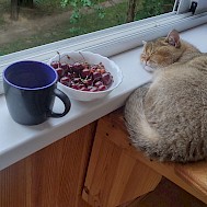 Fot&oacute;: Shutterstock