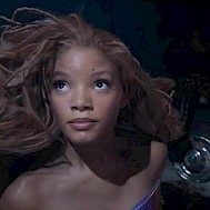 Fot&oacute;: Profim&eacute;dia