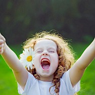 Fot&oacute;: Shutterstock