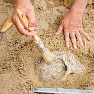 Fot&oacute;: Shutterstock